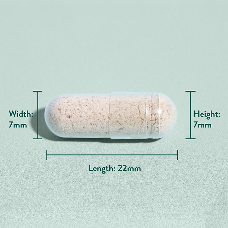 Holland & Barrett Psyllium Husk 180 Capsules